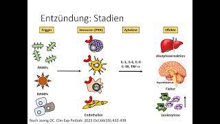 Autoinflammation Teil 1