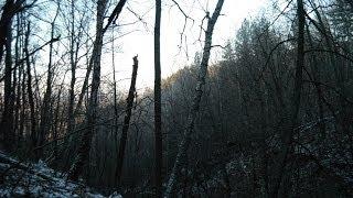 Лесные овраги в декабре (Forested ravines in December)