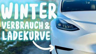 Doppelter Verbrauch, halbe Reichweite? Elektroauto Wintertest im TESLA Model Y Standard Range