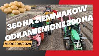 360 ha ziemniaków w nowej technologii uprawy. Odkamienione 290 ha