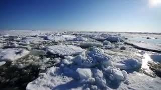 Positive Futures Magazine - Trapped by icebergs hunting seals, cut off from shore, Wales, Alaska