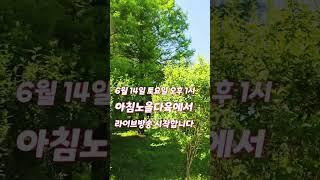 #오늘 #오후 1시 #아침노을다육에서 #라이브방송 #시작합니다 #놀러오세요 #흥타령 #박서진 #트로트 #가수 #노래 #좋아요