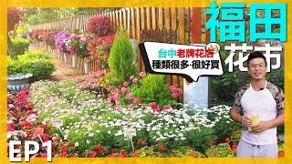 【福田觀光花市EP1】GARDEN SHOP TOUR 台中老牌園藝店，品項種類很多，時不時會有一些精品出現，很值得去逛逛。＃伊恩愛種花＃福田園藝＃台中園藝店