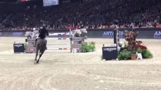 Chilli Willi jump off GP CSI5*-W Bordeaux