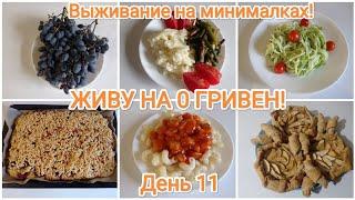 ЖИВУ НА 0 ГРИВЕН! День 11