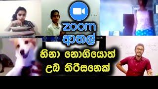 Zoom Meetings වල සිදු වුනු ආතල් සිද්ධි | Zoom Fun New | Zoom Athal New | Zoom Fun Sri Lanka 2024