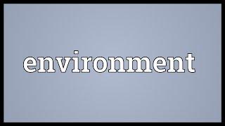 Environment Meaning