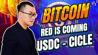 USDC - CICLE Mất Peg  | Lê Duy Crypto Man