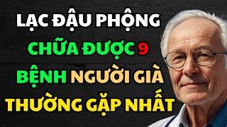 Tin Vui 9 Công Dụng Tuyệt Vời Của LẠC ĐẬU PHỘNG Chữa Được 9 Bệnh Thường Gặp | Hiền Triết Người Già