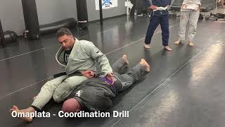 BJJ - Open Guard Seminar