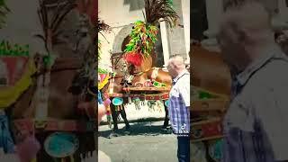 Festa Sant'Alfio Adrano