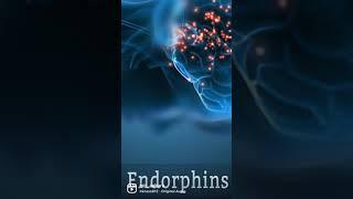 Endorphin-Happy Hormone