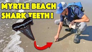 Shark Tooth Hunting the Carolinas: Myrtle Beach