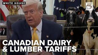 Trump announced a one-month pause on tariffs for goods from Mexico and Canada