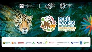 Perú en la COP16 | Restauración de ecosistemas