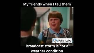 Broadcast Storm - PyNet Labs #memes
