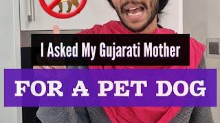 When you ask your Gujarati Mother for a dog 🫠
