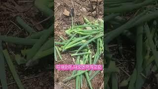 2025년 4월 25일