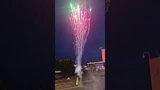 black dog- smoking alien fireworks #fireworks #foryou #black #dog #mines #strobe #4thofjuly #alien