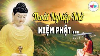 Thoát Nghiệp Nhờ Niệm ''NAM MÔ A Di ĐÀ PHẬT" Rất Linh Ứng ( MỚI )