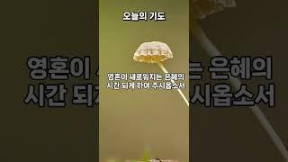 "생명의 빛으로 충만케 역사하옵소서"#오늘의기도#여호와는나의빛#하나님의손길#구원의빛#생명의빛#주님의빛