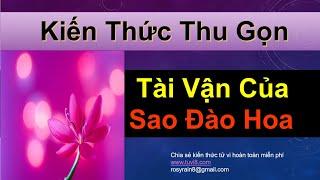 TÀI VẬN CỦA SAO ĐÀO HOA  - HÀM TRÌ - DỄ HỌC DỄ NHỚ -KIẾN THỨC THU GỌN