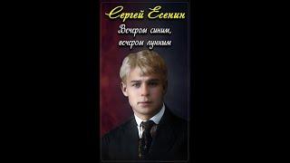Вечером синим, вечером лунным - Сергей Есенин (читает Александр Злищев) #shorts