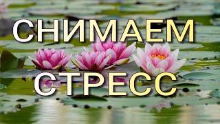 Лечебная музыка снимает стресс