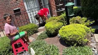 Daniel and Adam helping Jay kindergarten pulling weeds 2369￼￼￼