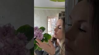 https://www.instagram.com/fialka_floret?igsh=MWZpNW4zYjJuYnozZw== #flowers #цветыдлядома #фиалка