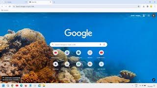 How To Change Google Chrome Theme | Change Chrome Background Theme