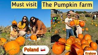 Very Beautiful Pumpkin field| Farma Dyniowa Modlnica #krakow #poland #geetvlogs #polska