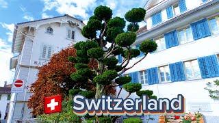 basel switzerland walking tour||Basel village view#swizerland