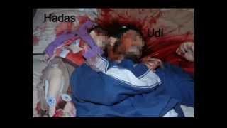 Fogel family murders - Itamar 11/3/2011