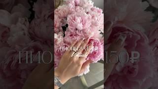 Какие ваши любимые цветы?🩷 #бьюти #обзор #стиль #влог #цветы #макияж #волосы #красота