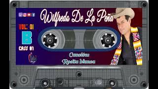 WILFREDO DE LA PEQUEÑA SOLO ÉXITOS DE ORO