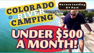 COLORADO RIVER RV CAMPING! [UNDER $500 A MONTH!] HAVASU LANDING RV PARK