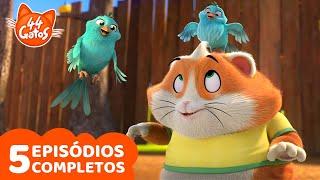 44 Gatos | Top 5 Meatball | Episódios completos | Desenhos animados para crianças