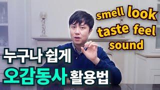 영어회화ㅣlook, feel, taste, sound, smell 쉽게사용하세요.