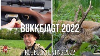 Bukkejagt. Roe buck hunting. Bockjagd. bockjakt. bukkejakt. caza del corzo. polowanie na sarny.