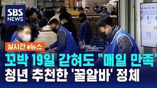 꼬박 19일 갇혀도 "매일 만족"…청년 추천한 '꿀알바' 정체 / SBS / 실시간 e뉴스