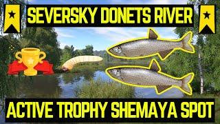 Russian Fishing 4 Active TROPHY Spot Black Sea Shamaya