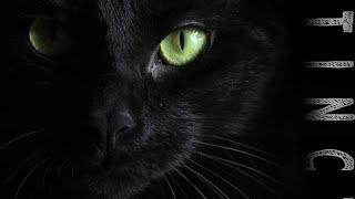 GagoLed – Instinct (Original Mix)