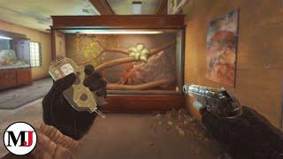 The Game of Cat and Mouse - Rainbow Six Siege