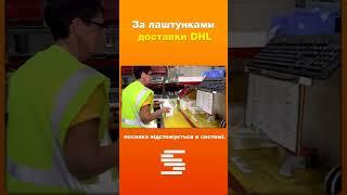 Як працює склад DHL #склад #складськалогістика #автоматизація