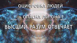 Оцифровка людей. Опасна ли она? Высший разум отвечает.