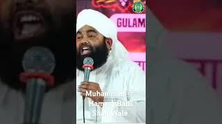 Husne Mustafa  ﷺ.Sayyad Aminul Qadri status #bayan #islamicmove #sdipune #sayyadaminulqadrinewbayan