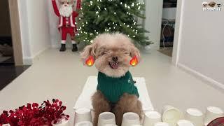 (Full Ver.)Christmas Challenge