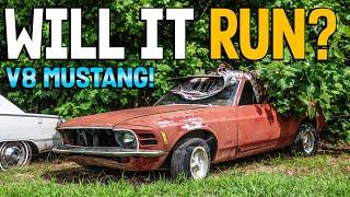 ABANDONED 1970 V8 Mustang - Will It Run After Decades?