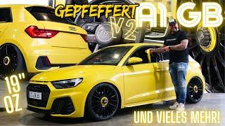 AUDI A1 GB MIT 19" & GEPFEFFERT V2 mit Sturzdomlager